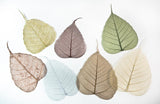 Bo Leaves - Natural