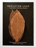 Rubber Tree Leaves - Copper
