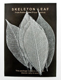 Rubber Tree Leaves - Silver