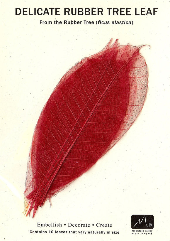 Rubber Tree Leaves - Red