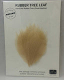 Rubber Tree Leaves - Natural