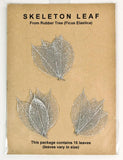 Rubber Tree Leaves - Silver
