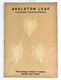 Rubber Tree Leaves - Natural