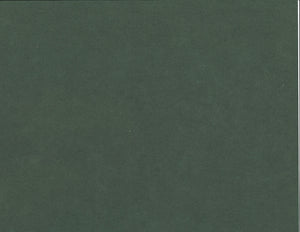 Solid Color Kozo - Amazon Green
