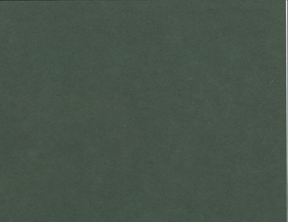 Solid Color Kozo - Amazon Green