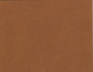 Solid Color Kozo - Amber Brown