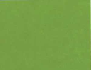 Solid Color Kozo - Fern Green