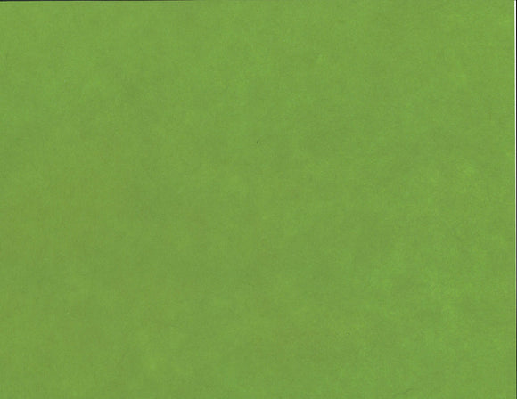 Solid Color Kozo - Fern Green