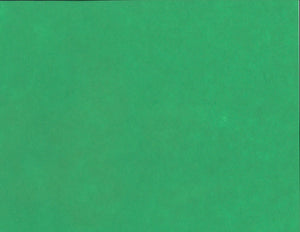 Solid Color Kozo - Forest Green