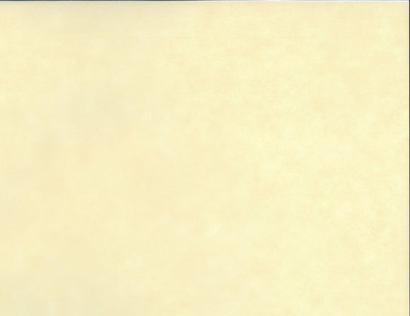 Solid Color Kozo - Ivory