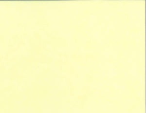 Solid Color Kozo - Lemon Yellow