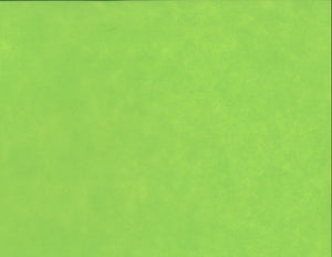 Solid Color Kozo - Olive Green