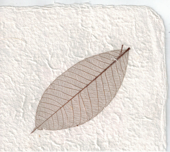 Handmade Paper - Brown Rubber Tree
