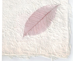 Handmade Paper - Lavender Rubber Tree