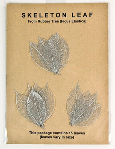 Rubber Tree Leaves - Silver