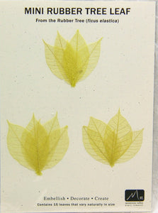 Rubber Tree Leaves - Citrine